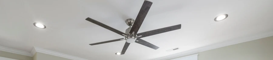 Elegant ceiling fan